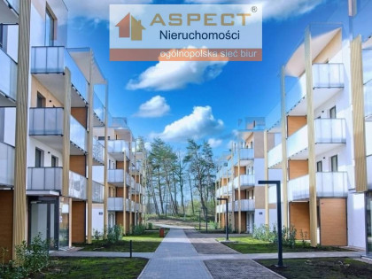 Mieszkanie Dąbki rynek pierwotny