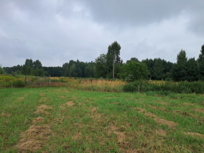 Opole Lubelskie - 1,24 ha - malownicza okolica