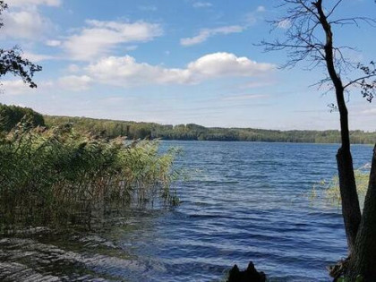 *Działka z linią brzegową jeziora Limajno*