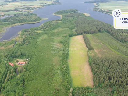 Działka w otulinie lasu niedaleko jeziora Makosiej