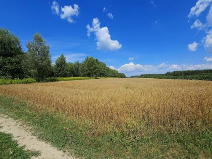 Karczmiska Drugie - ponad 33ar działki rolnej