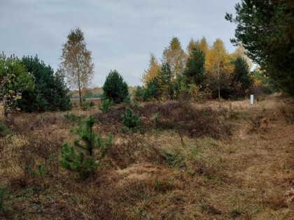 Ekskluzywna działka budowlana - Teodorów