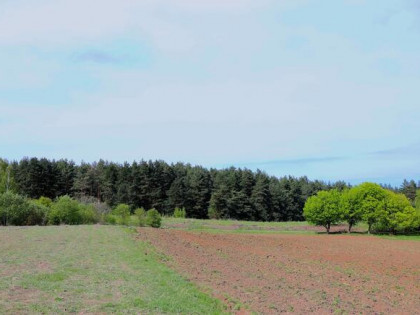 Budowlane/Usługowe 1000m2-2300m2 - 6 km od Gdańska