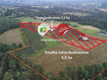 Działka rolna Łapanów Wolica, Wolica