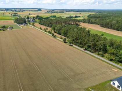 Działka budowlana Zborowskie gm. Ciasna, Dolna