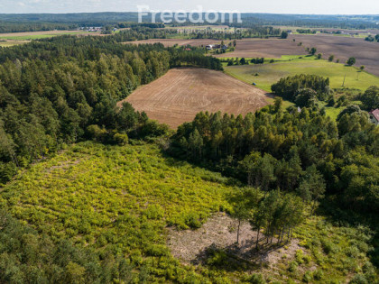 Duża działka siedliskowa - las, cisza, oczko