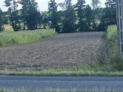 Działka 42 ary pod zabudowę, Smólnik, woj. Wielkopolskie