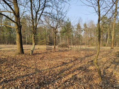 Działka Wola Ducka