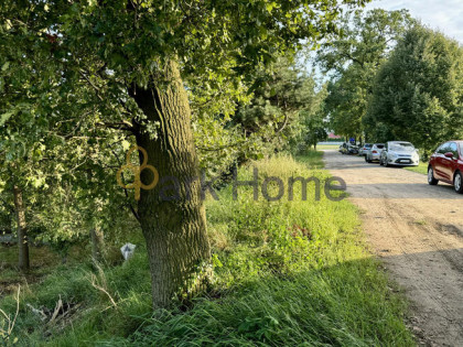 Działka inwestycyjna Dębno Polskie gm. Rawicz,