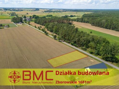 Działka budowlana Zborowskie gm. Ciasna, Dolna