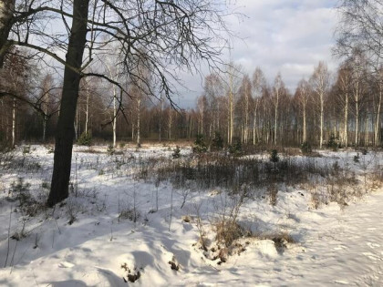 Budowlane Żabieniec gm. Parysów, przy granicy gm. Garwolin.