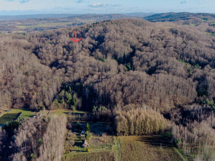 Działka w Zalasowej powierzchnia 28 ar.