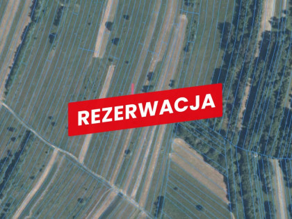 Działka rekreacyjna