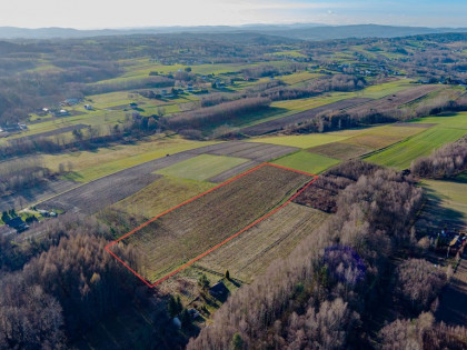 Do sprzedaży działka o pow 1.18 Ha. Zalasowa.