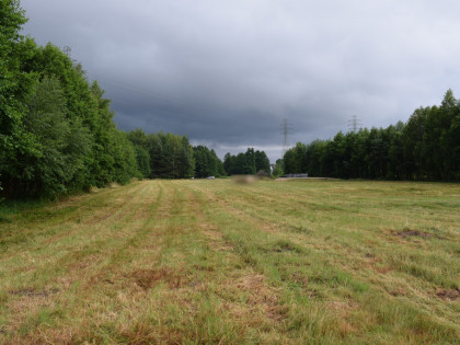 Działka budowlana 39a w Budach Głogowskich