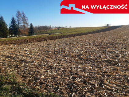 Działka rolno-budowlana bez prowizji od kupującego