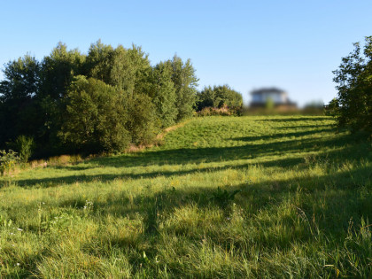 Działki budowlane od 10a do 47a w Tyczynie