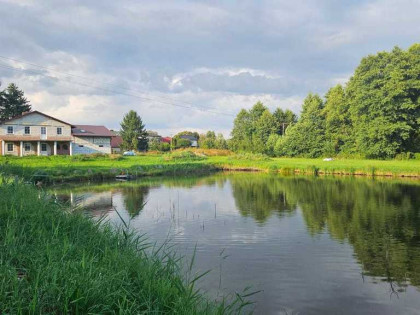 Dom Kraśnik, działka ze stawem, 1,35 ha