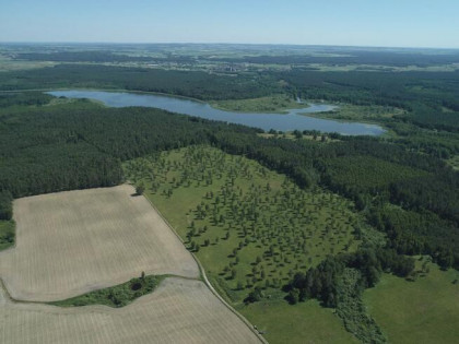 Działka budowlana Boguszewo gm. Miłomłyn,