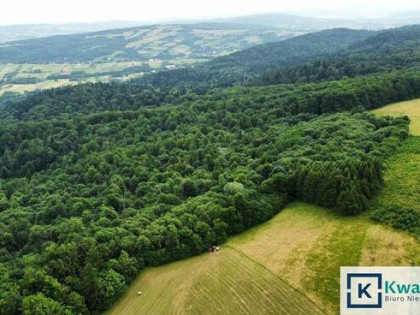 Działka leśna Stary Żmigród gm. Nowy Żmigród,