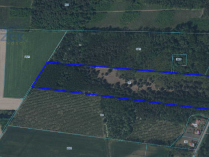 Działka Nowy Dębsk ul.  