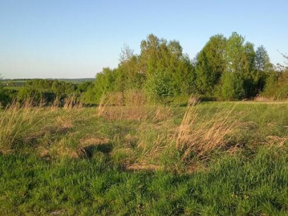 Laskówka działka budowlana na wzgórzu gmina Dynów