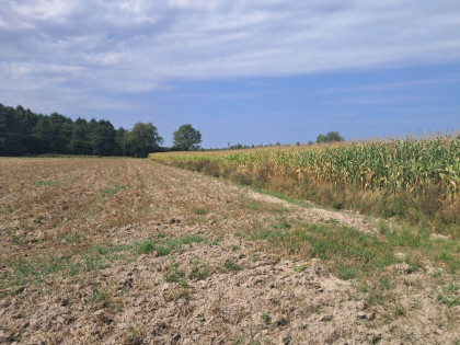 Malinówka, gm. Cyców - działka budowlana