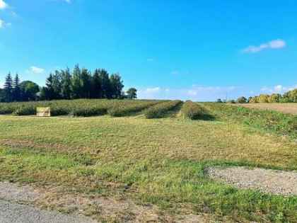 Działka budowlana, Tarło Kolonia