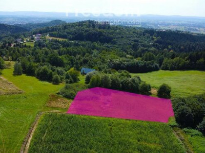 Działka rolna z potencjałem - Korczyna, Podzamcze.