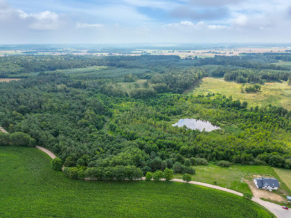 Działki leśne