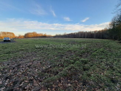 Działka budowlana Dąbrówka gm. Rzezawa