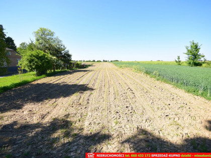 Działka rolno-budowlana bezpośrednio przy lesie.