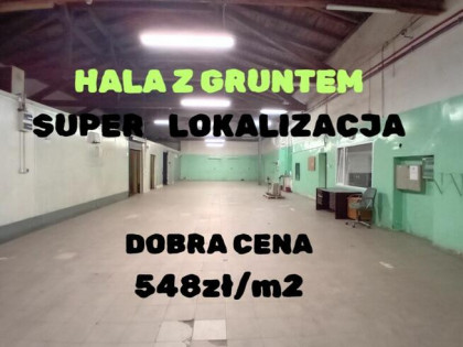 HALA Z GRUNTEM-NISKA CENA