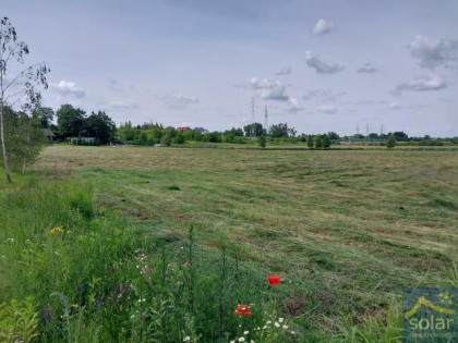 Działka rolno-budowlana Lisi Ogon gm. Białe Błota