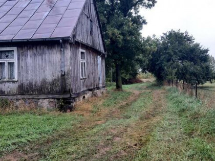 Sprzedam działkę siedliskową z ziemią rolną.