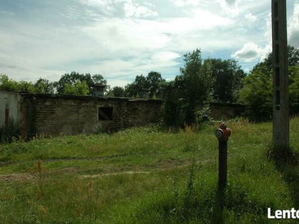 Działki w Pogalewie Wielkim, gmina Brzeg Dolny,