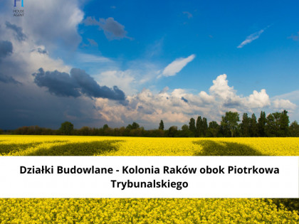 Działka Piotrków Trybunalski Raków ul.  