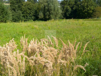 Działka budowlana Tymowa gm. Czchów