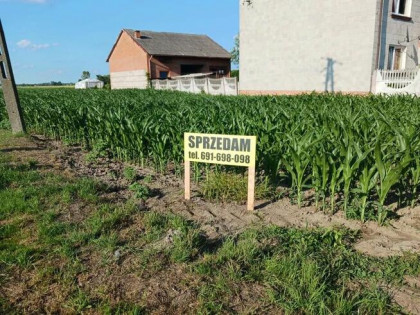 sprzedam działki rolno-budowlane