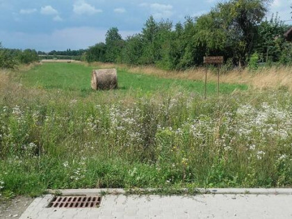 Działka +proj.domu. Pilzno 9ar, 34ar ul.Kś.Ściegiennego