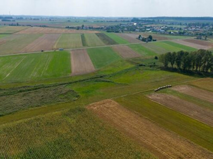 Działka rolna Sieraków Śląski gm. Ciasna, Wyzwolenia