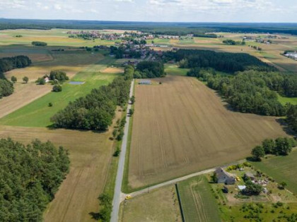 Działka budowlana Zborowskie gm. Ciasna, Dolna