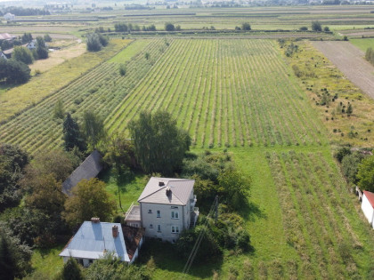 Działka budowlano-usługowa w Końskowoli gm. Puławy