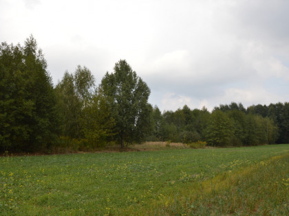 Działka rolna, Brzeźnica Książęca Kolonia, 1,77 ha