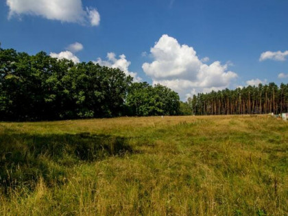 Działka budowlana Koszęcin, Piaskowa