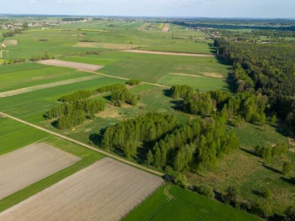 Działka budowlana Koszęcin, Tulipanowa