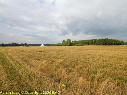 Działka budowlana Pawełki gm. Kochanowice,