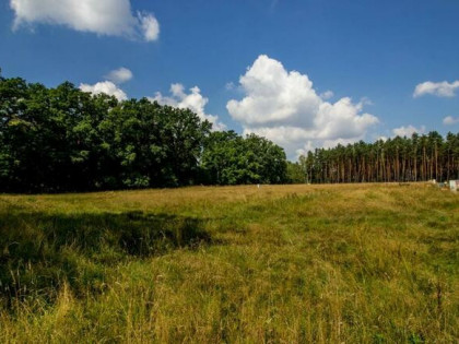 Działka budowlana Koszęcin, Piaskowa