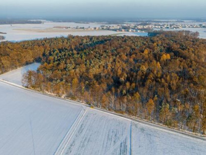 Działka leśna Łagiewniki Wielkie gm. Pawonków,