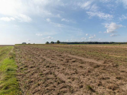 Działka budowlana Sieraków Śląski gm. Ciasna, Osiedlowa